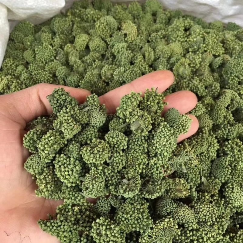 【只卖好货】文山三七花茶产地批发正品保证高性价