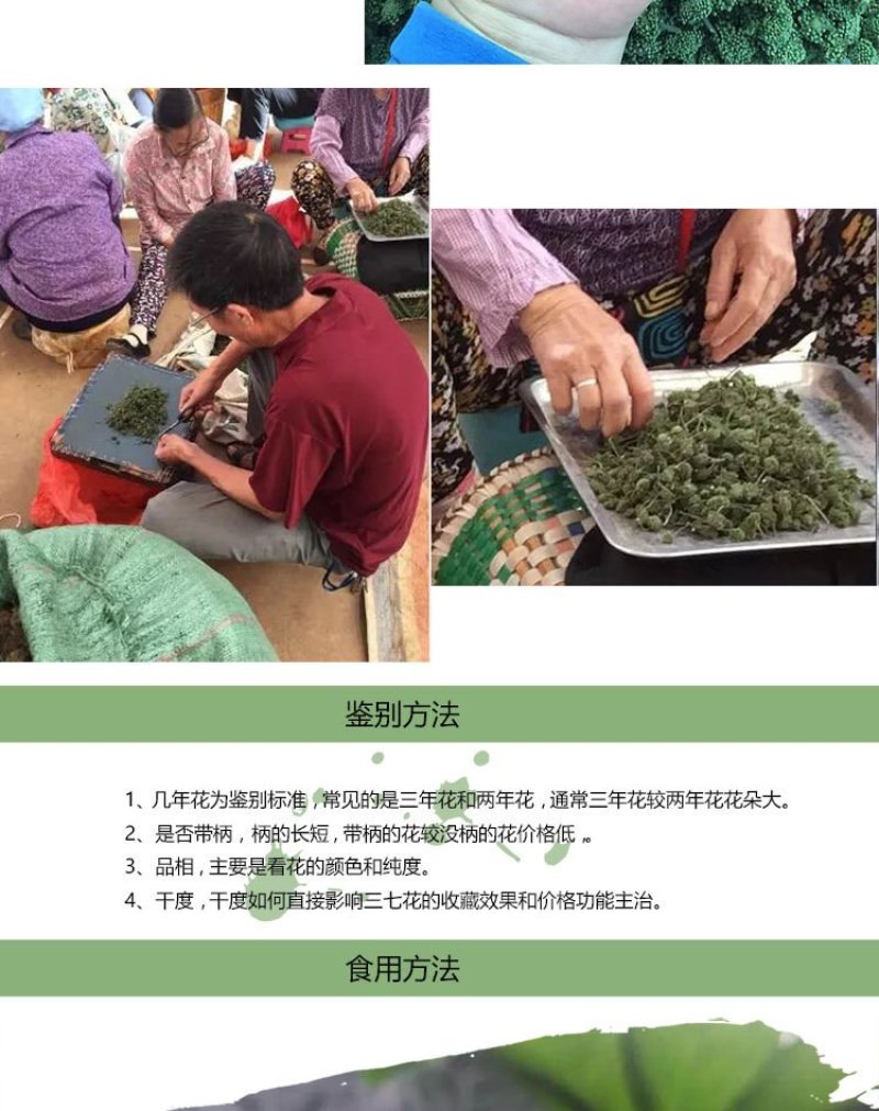 【只卖好货】文山三七花茶产地批发正品保证高性价