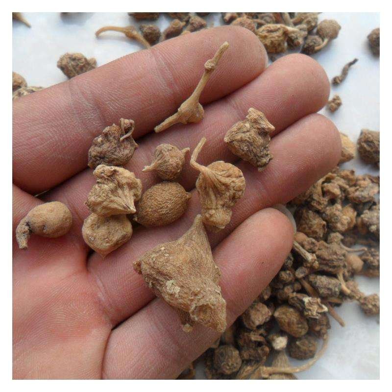 珠子参，扣子七中药材常年批发量大从优