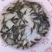 罗非鱼苗/通货量大从优。