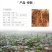 【只卖好货】文山现挖新鲜三七产地批发，只做品质诚信为本高
