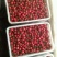 推荐山东精品千禧圣女果，大量上市，有机种植自然成熟，一手货源