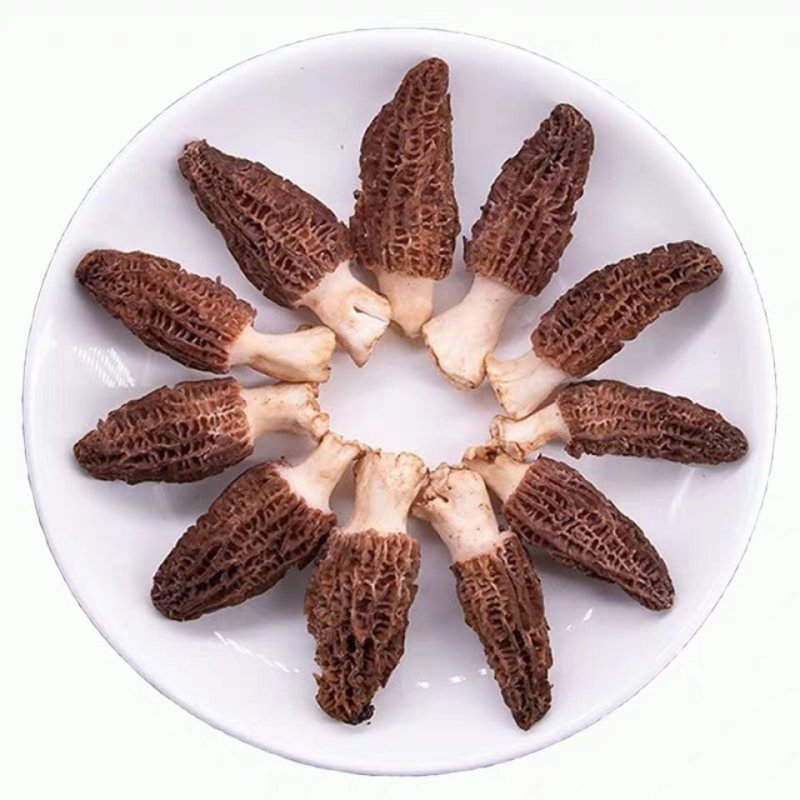 【只卖正品好货】云南羊肚菌煲汤佳品，高性价比。质量保证