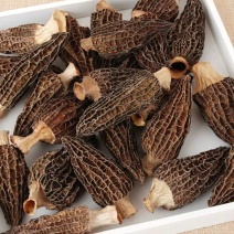 【只卖正品好货】云南羊肚菌煲汤佳品，高性价比。质量保证
