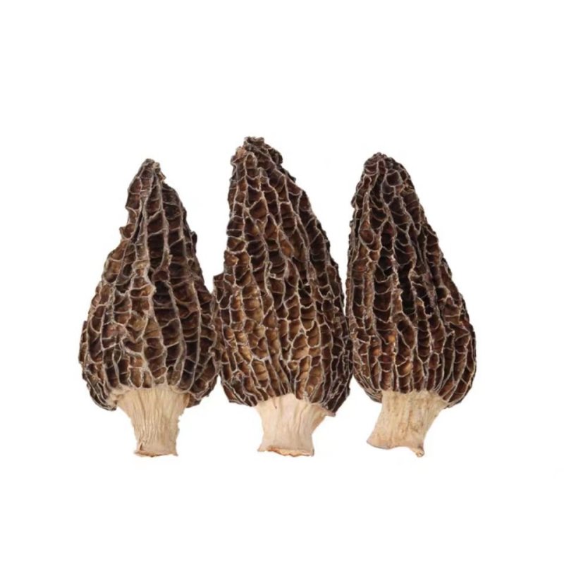 【只卖正品好货】云南羊肚菌煲汤佳品，高性价比。质量保证