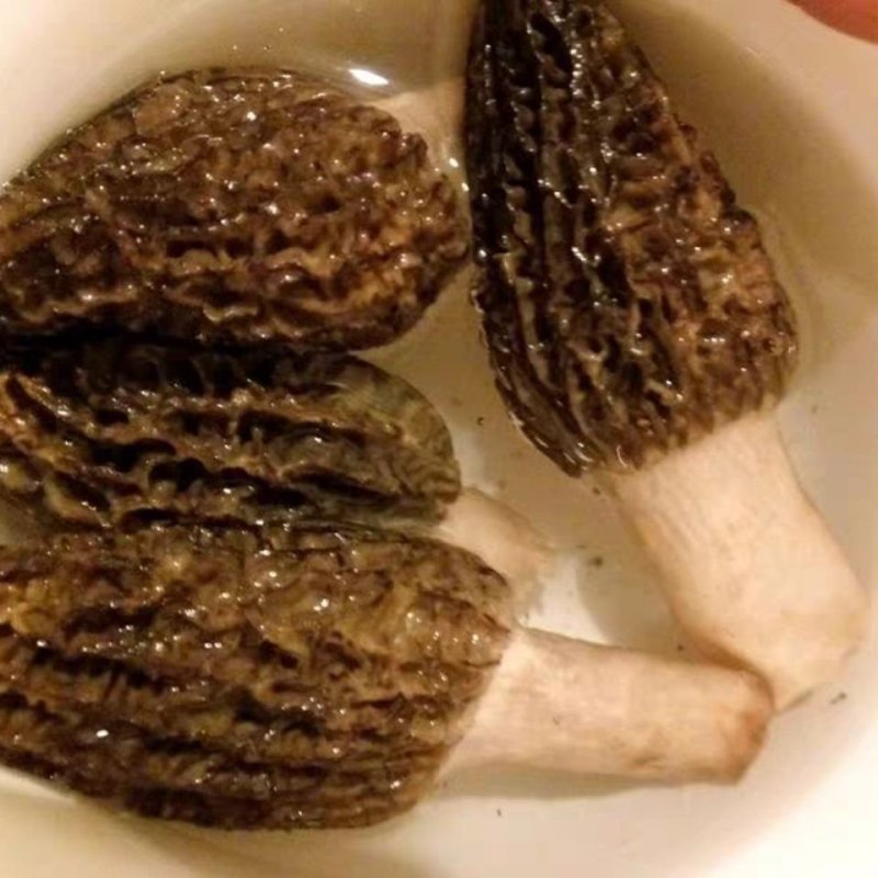 【只卖正品好货】云南羊肚菌煲汤佳品，高性价比。质量保证