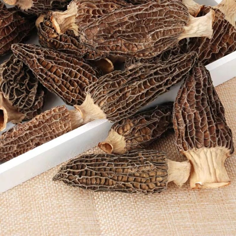 【只卖正品好货】云南羊肚菌煲汤佳品，高性价比。质量保证