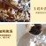 【只卖正品好货】云南羊肚菌煲汤佳品，高性价比。质量保证