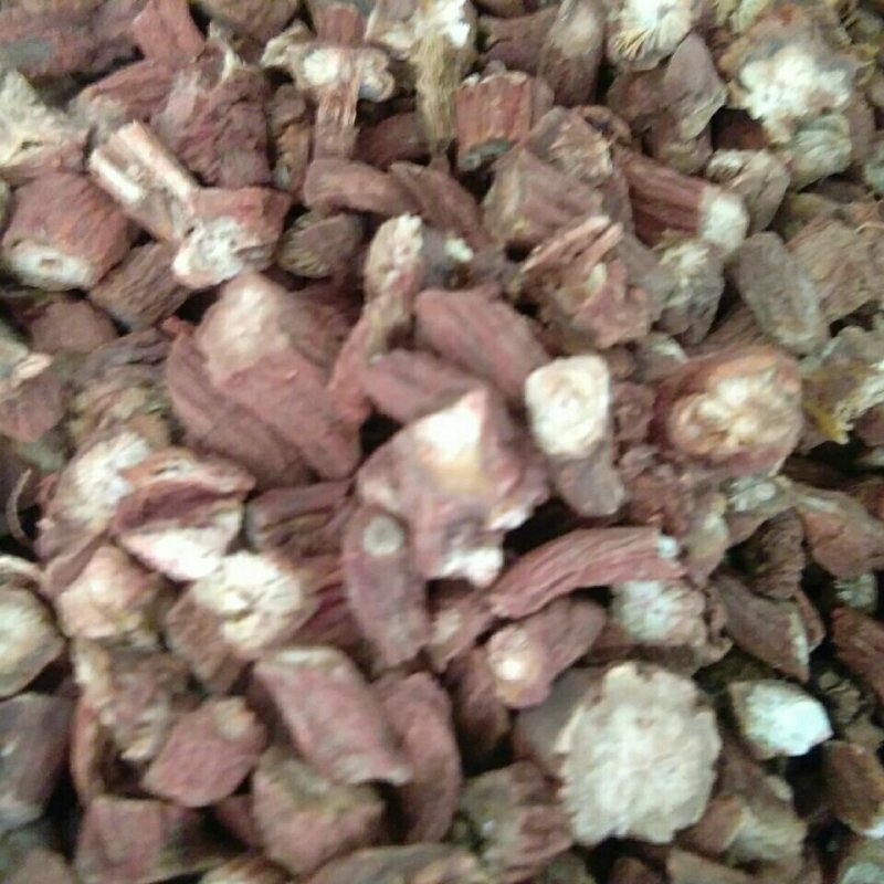 【只卖正品】云南野生紫丹参丹参茶限时特惠高性价比