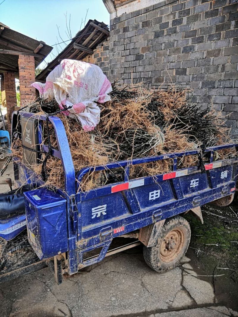 今天给湖南安徽客户发顺丰快递，有需要联系