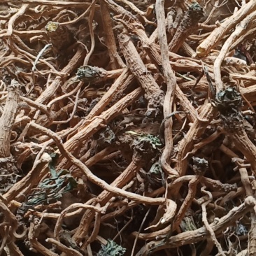 板蓝根
