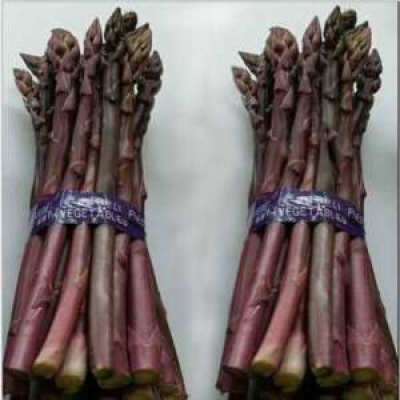 紫芦笋种子紫色芦笋种子高产抗病新品种水果芦笋