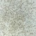 【推荐】河虾苗/青虾苗/基地一手货源全国包邮