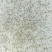 罗氏沼虾/大头虾苗/全国包邮。