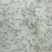 对虾苗/南美对白虾苗/草虾苗/河虾苗/纯淡水美白对虾