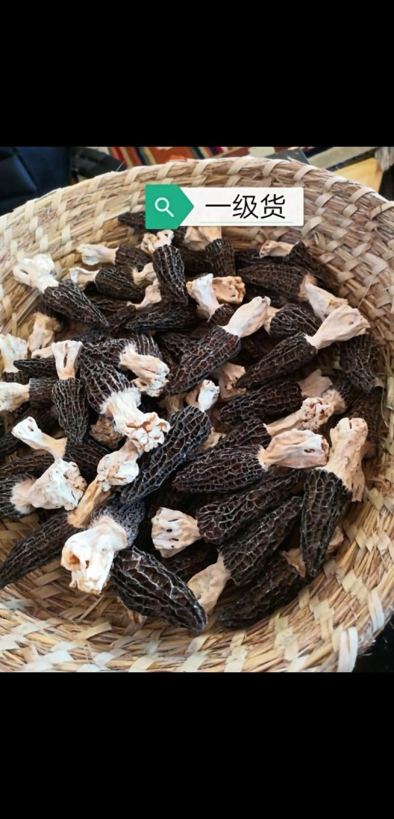 羊肚菌干货香格里拉合作社基地直供，