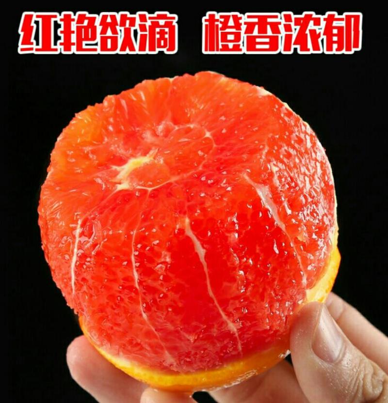 中华血橙红艳欲滴鲜甜多汁爽口（5斤1件包邮）