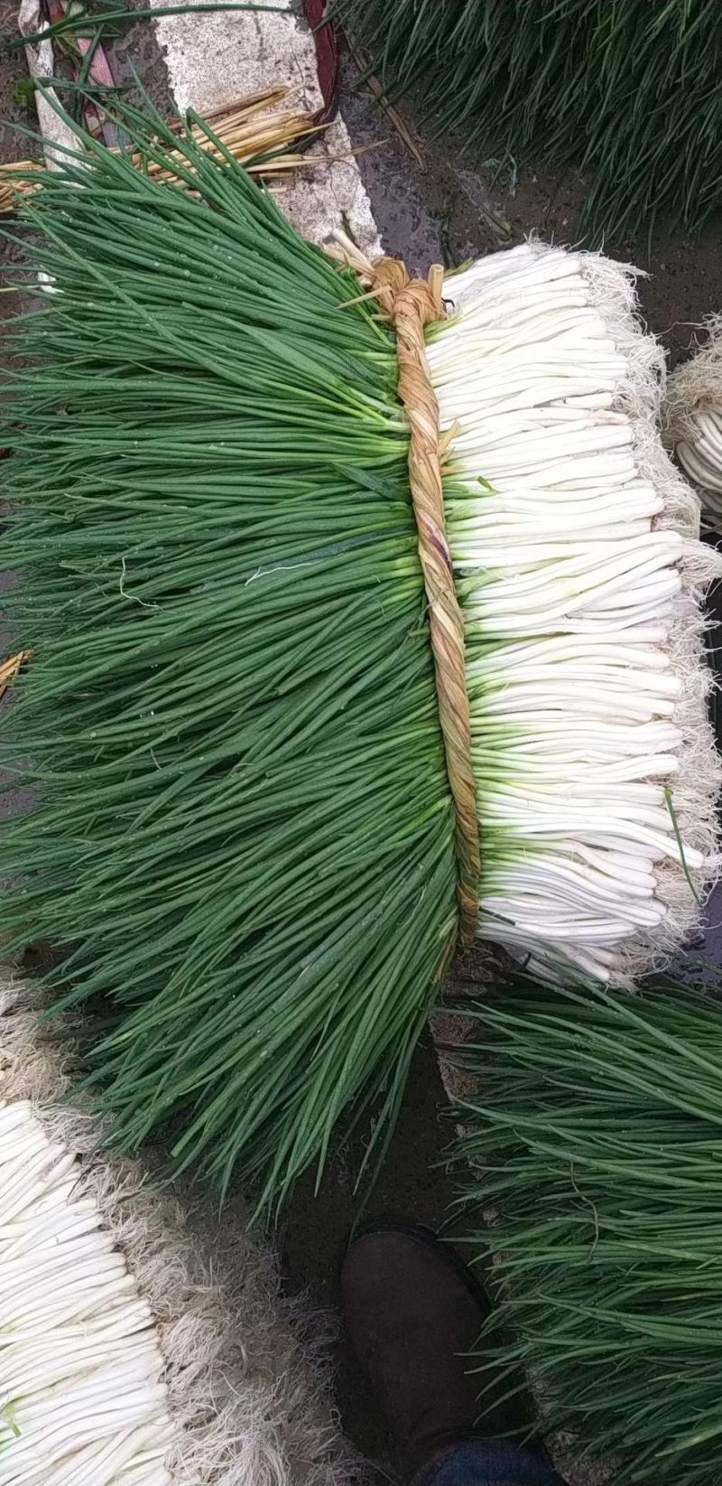 需要小葱的老板联系，价格美丽，