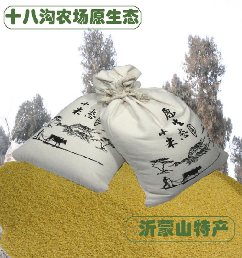 山东蒙阴蒙山小米香甜可口沂蒙山区丘陵沙质土壤种植粘度高