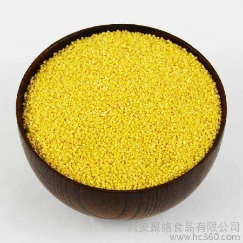 山东蒙阴蒙山小米香甜可口沂蒙山区丘陵沙质土壤种植粘度高