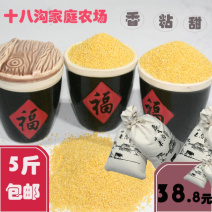山东蒙阴蒙山小米香甜可口沂蒙山区丘陵沙质土壤种植粘度高