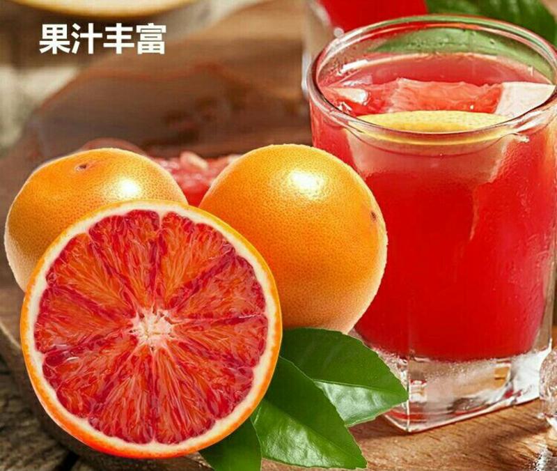 中华血橙红艳欲滴鲜甜多汁爽口（5斤1件包邮）