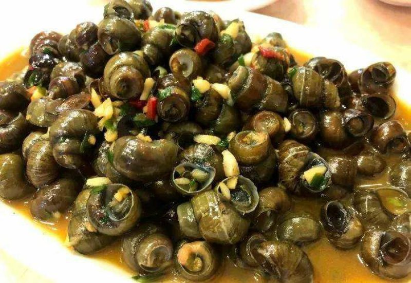 螺蛳供应各种规格螺蛳，田螺，饲料螺食用螺蛳