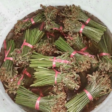 蕨菜贵州高山蕨菜龙爪菜贵州原生态蕨菜