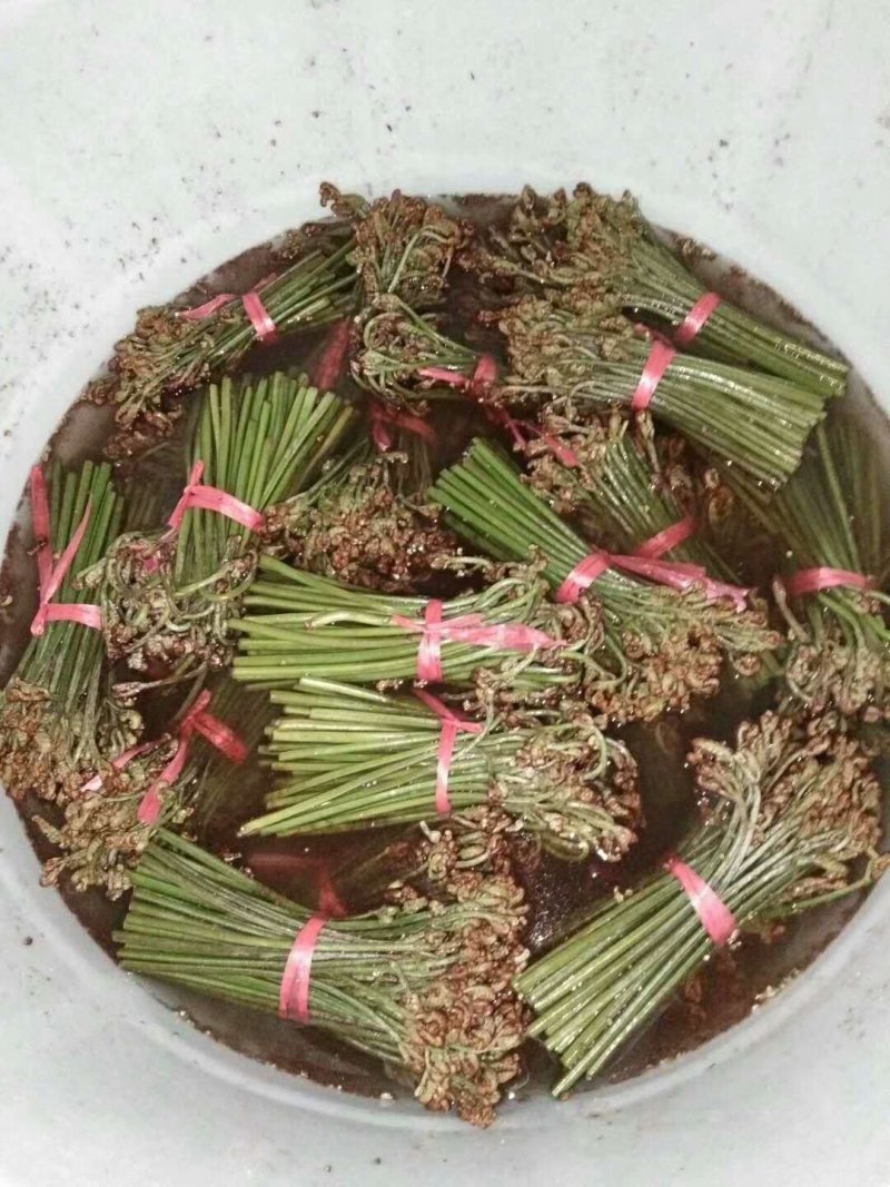 蕨菜贵州高山蕨菜龙爪菜贵州原生态蕨菜