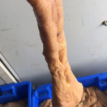 驴副产品