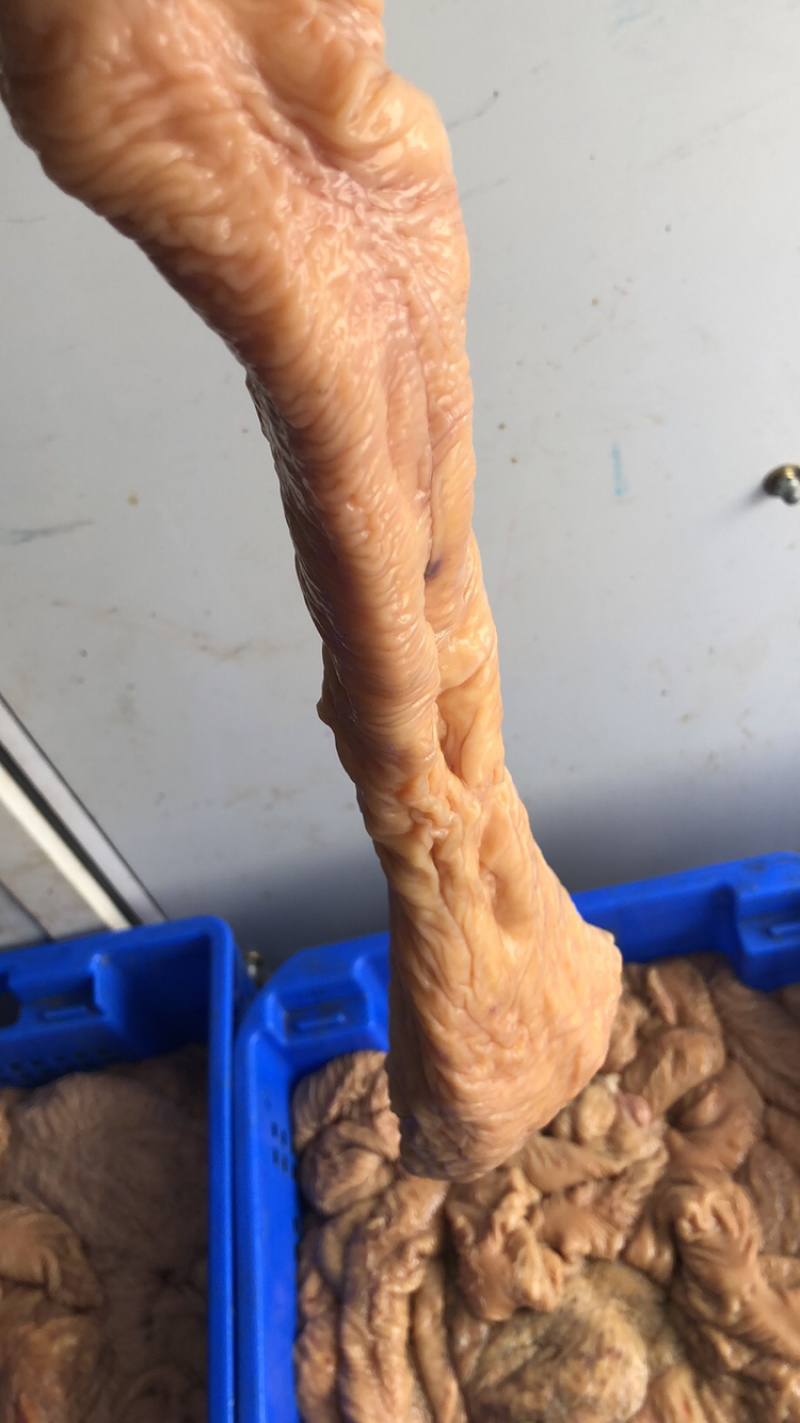 驴副产品