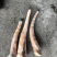 驴副产品