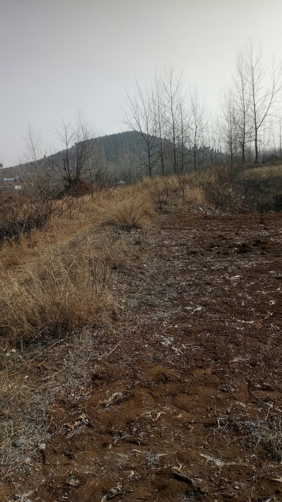 一座建设中的荒山