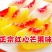 黄桃树苗炎陵黄桃苗供应早中晚熟品种齐全