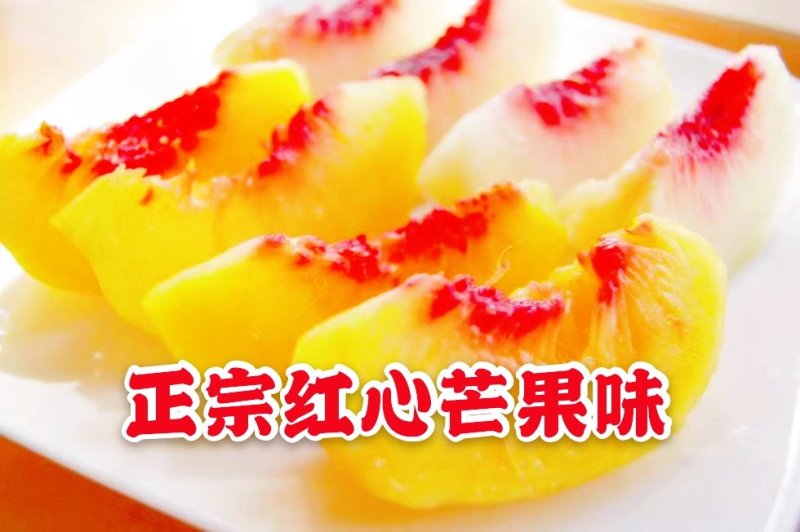 黄桃树苗炎陵黄桃苗供应早中晚熟品种齐全