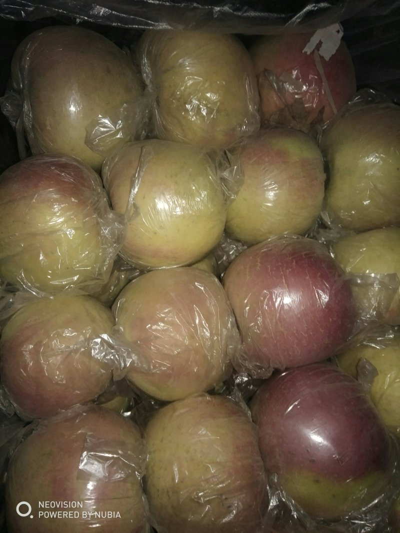 河北膜袋富士