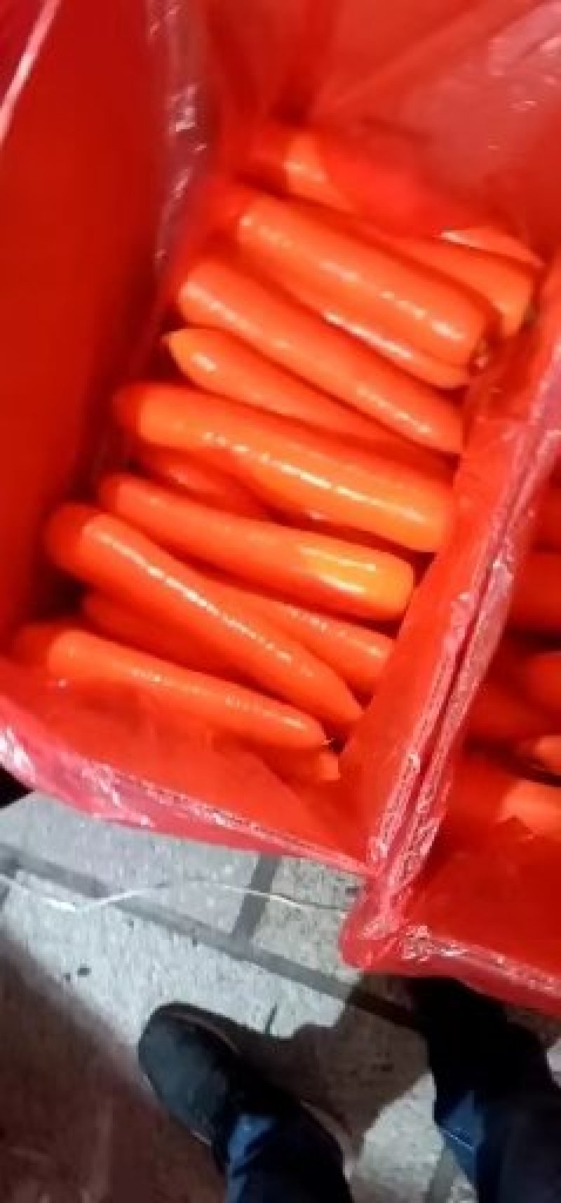 胡罗卜，三红胡萝卜，水洗、基地直发。全国发货。出口贸易。