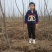 3公分樱桃苗，美早樱桃苗4公分，樱桃苗5公分，车厘子苗