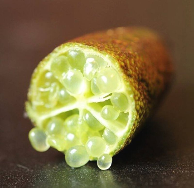 指橙！进口水果！手指柠檬