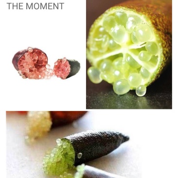指橙！进口水果！手指柠檬