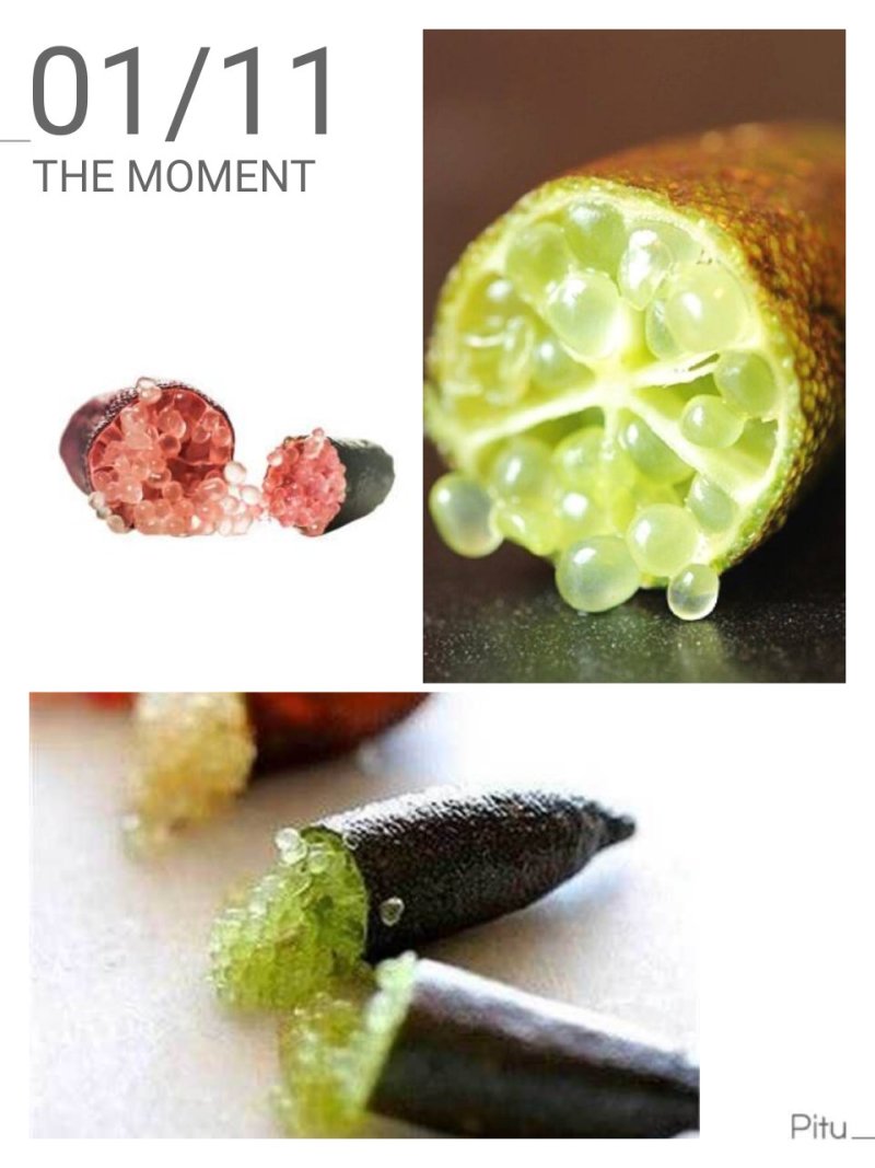 指橙！进口水果！手指柠檬