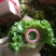 精品散叶生菜，唐山市滦南县为农蔬菜种植合作社竭诚为您服