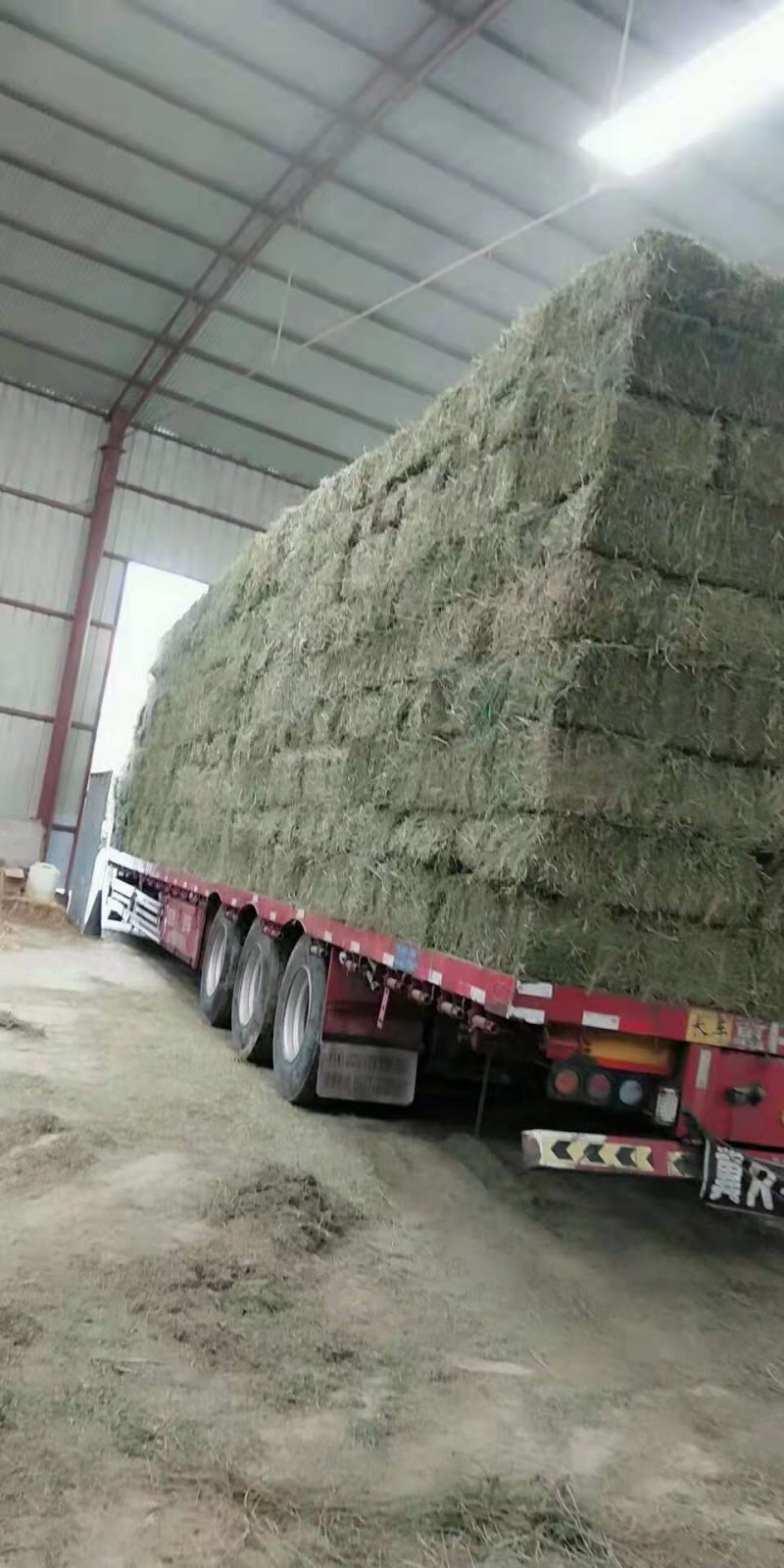 苜蓿草捆