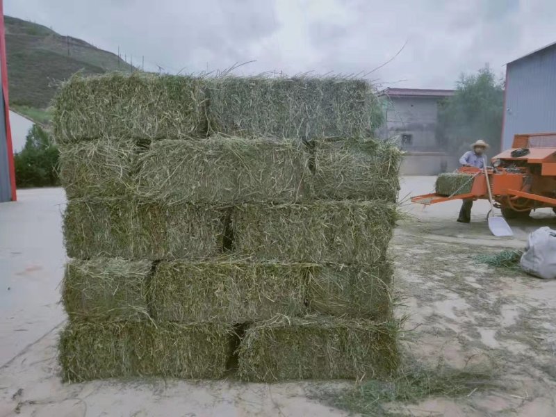 苜蓿草捆