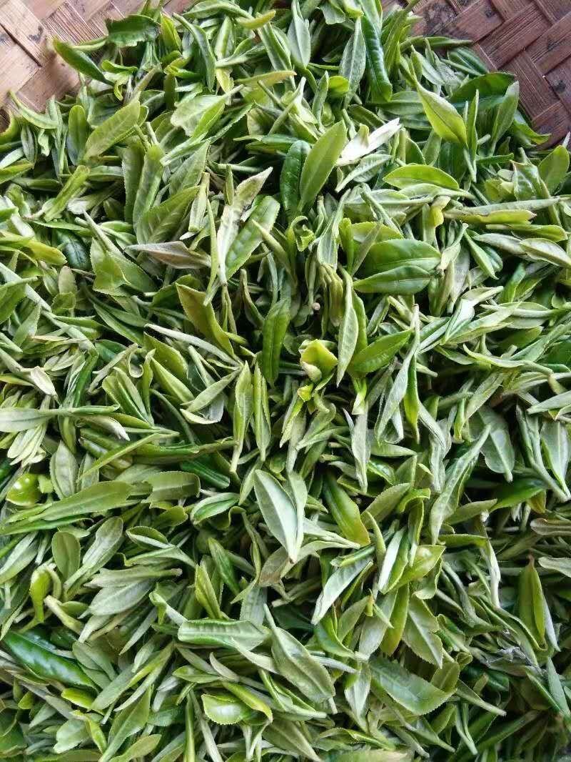 绿茶