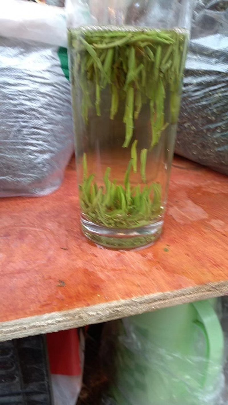 绿茶