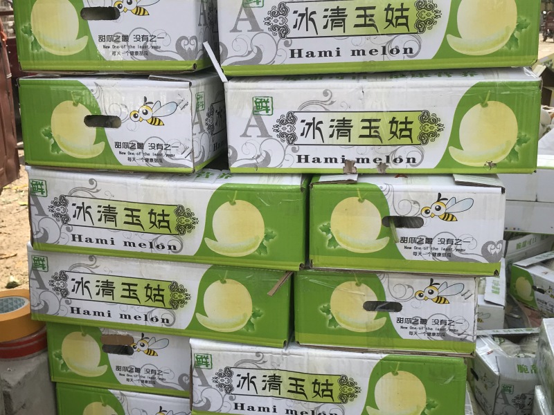 河南冰清玉菇甜瓜、口感香甜软糯、玉菇大量上市