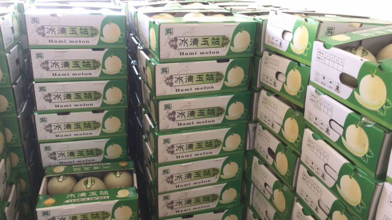 河南冰清玉菇甜瓜、口感香甜软糯、玉菇大量上市
