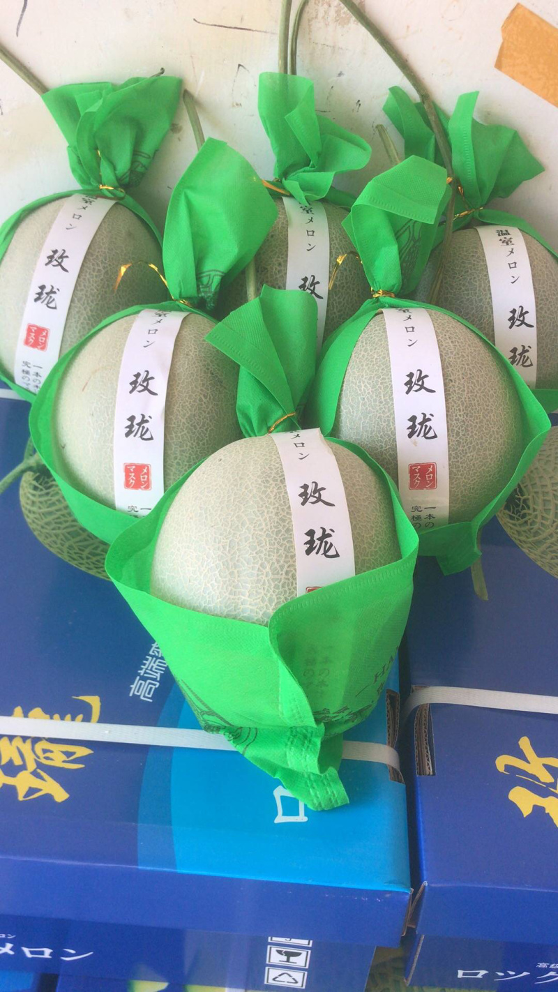 河南网纹瓜、鲁后甜玫珑瓜翠蜜瓜、阿鲁斯甜瓜3-5斤