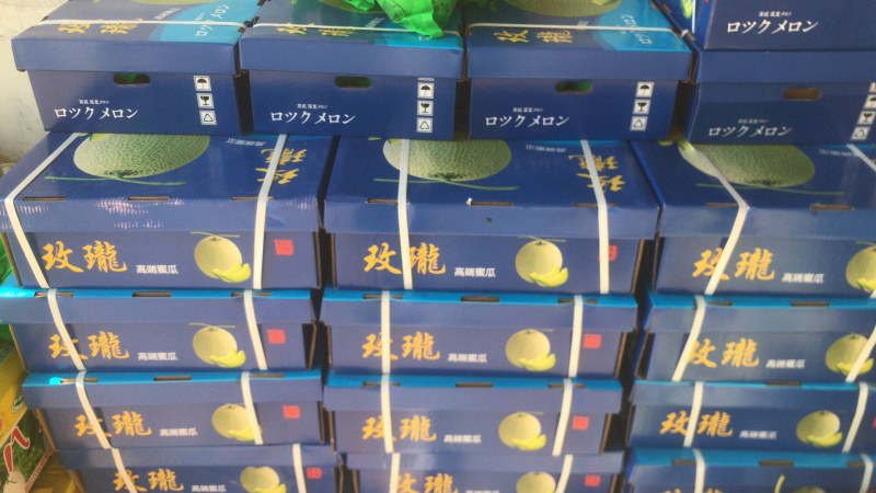 河南网纹瓜、鲁后甜玫珑瓜翠蜜瓜、阿鲁斯甜瓜3-5斤